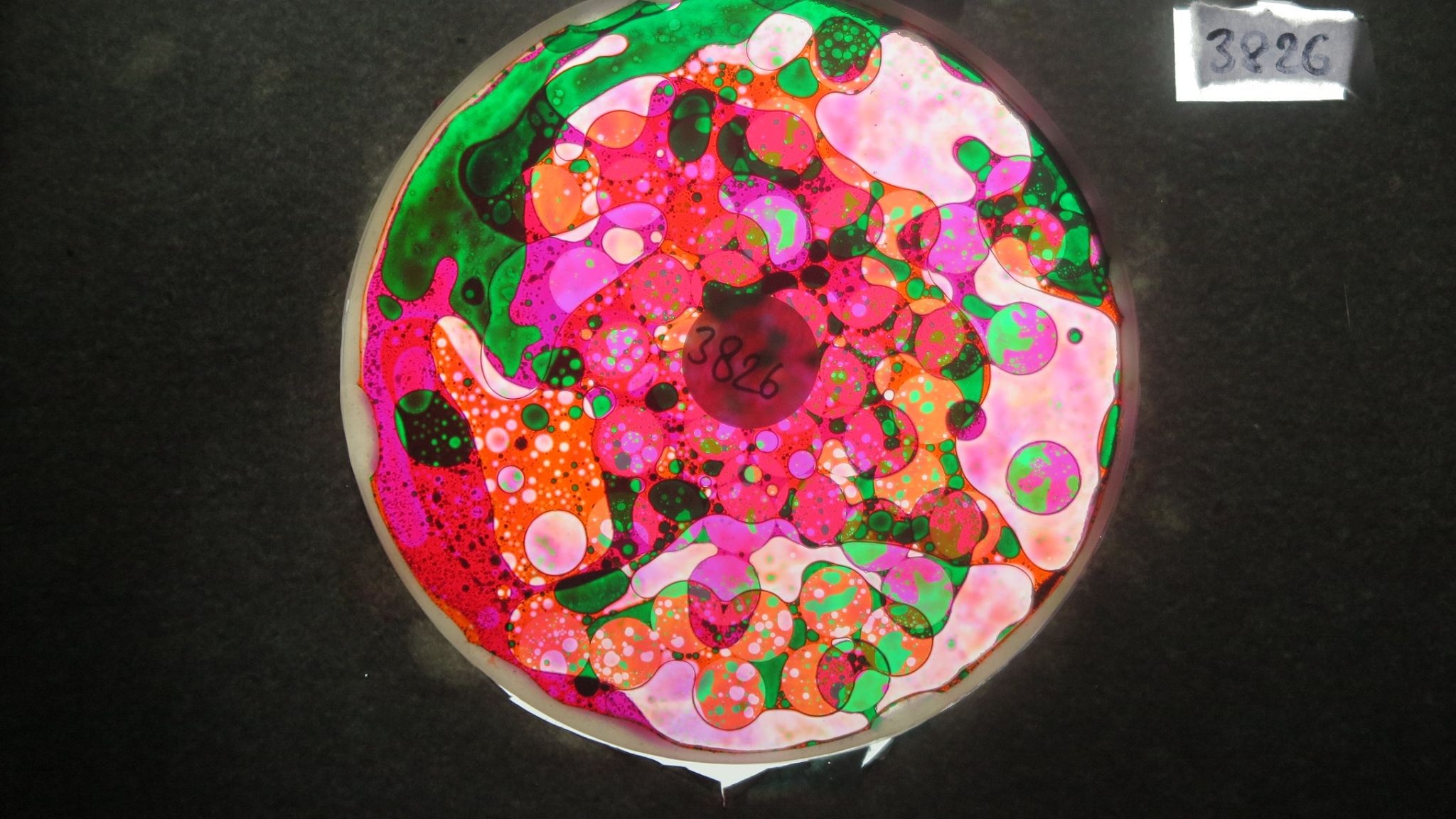 BV3826 bubble vision oil wheel